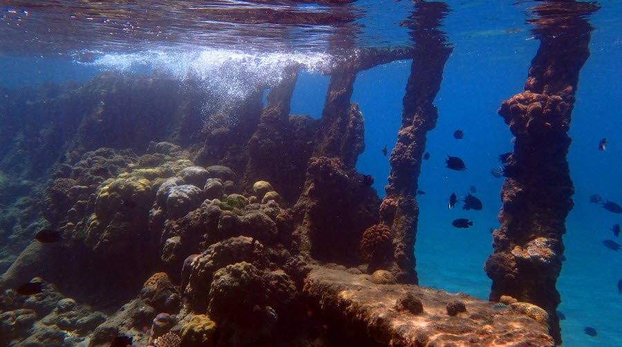 Honiara , Guadalcanal Province, Solomon Islands